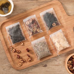 Sachets de thé réutilisables transparents, qualité alimentaire, filtre à thé en Nylon, sachets vides pour épices, herbes, thé en vrac, café, tisane