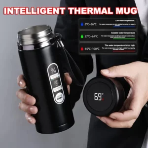 Bouteille thermos en acier inoxydable avec affichage LED de la température, bouteille d'eau à thé Sus304, d'extraction à vide, portable, standardisation, 500ml, 1 litre